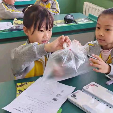 缤纷科技节  点亮科技梦——海原县第二小学“石榴花开校园 籽籽同心向党”第一届校园科技节系列活动