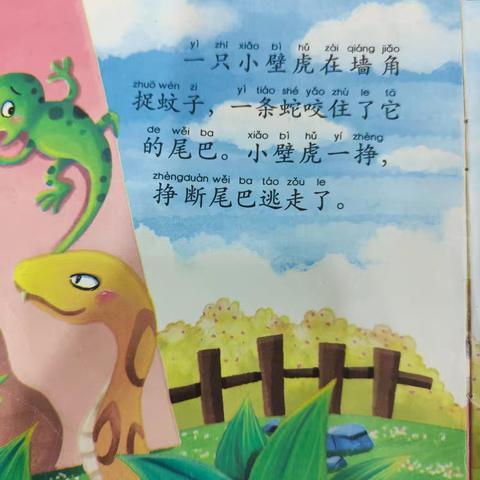 《小壁虎借尾巴》