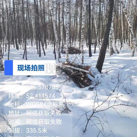 营林工作者奋斗在驿站