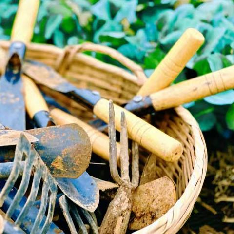 方寸田园融五育 一园躬耕润童心 双辽市第三小学劳动实践基地活动纪实