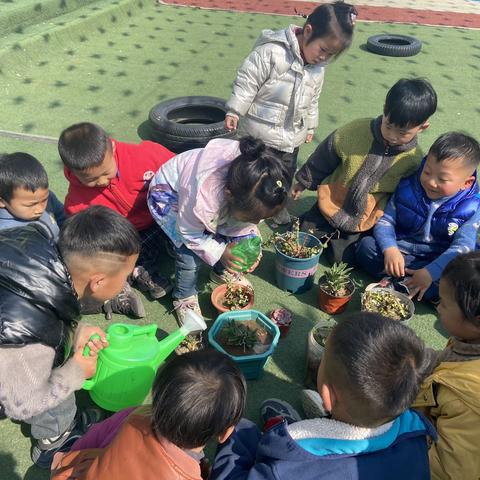 植此青绿——启航幼儿园植树节活动