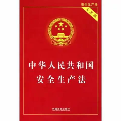 “人人讲安全，个个会应急”———高庙王镇小学新《安全生产法》普法宣传