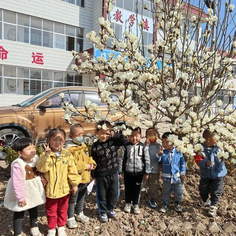 【遇见春天 你好四月】蒋邑小学附设幼儿园小班4月总结