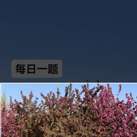 岗位练兵 每日一题