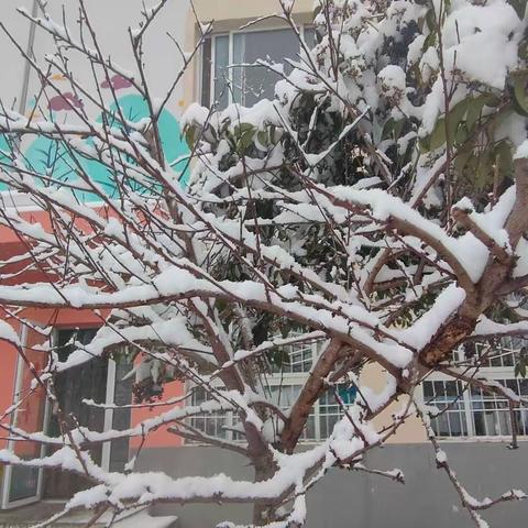 邂逅初雪   童趣满园——西安市高陵区张卜中心幼儿园冬日初雪纪实