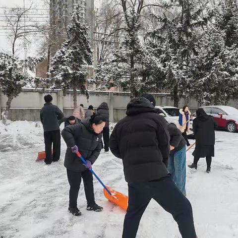 党建引领聚合力 清雪除冰践初心