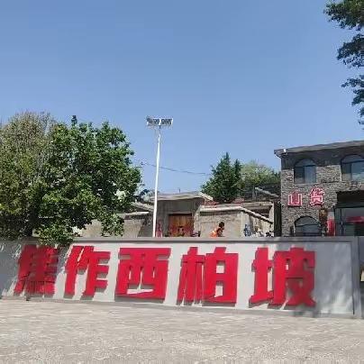 寻先辈足迹  承红色基因——龙成教育集团中站小学十二会红色研学之旅
