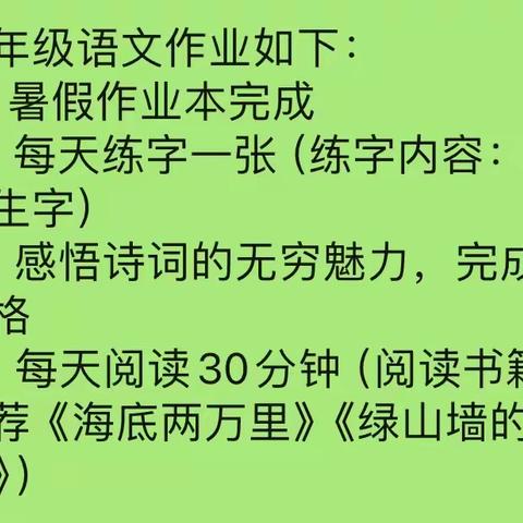 【新星教育】“双减”伴学在当夏 特色作业绽风采——新星学校四年级暑假特色作业