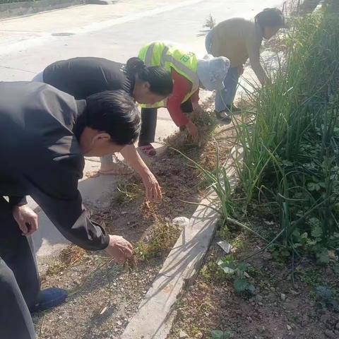 方庄村人居环境整治行动，营造干净整洁的生活环境！