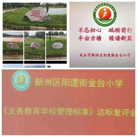 规范建设以督促学，敦行致远提质增效——阳逻街金台小学义务教育管理达标学校复评