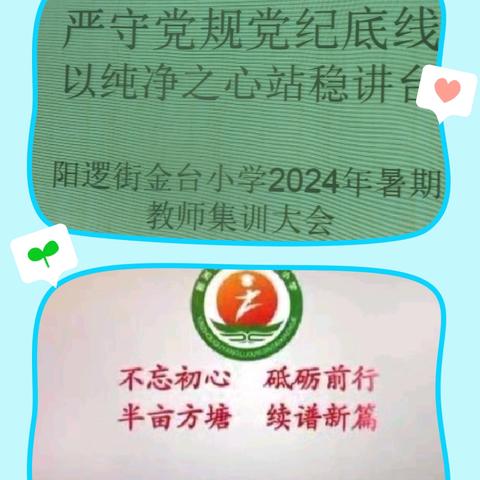 严守党规党纪底线 以纯净之心站稳讲台——阳逻街金台小学暑期集训（四）