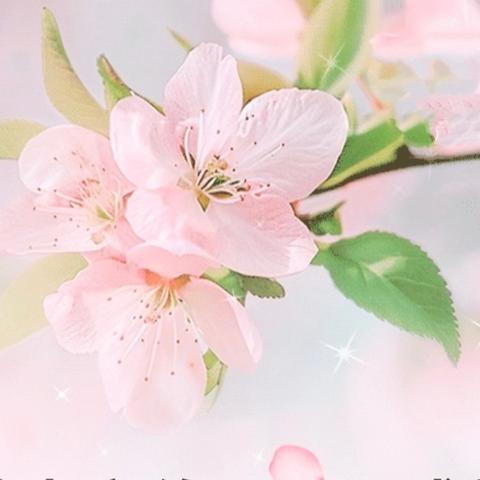 凝心筑梦，为爱同行 ——双城区新兴中学家长会温暖回顾