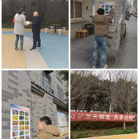 保护野生鸟类 守护蓝天精灵——纸坊南村社区开展鸟类保护宣传活动