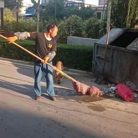 迎接国家卫生城市复审，我们在行动