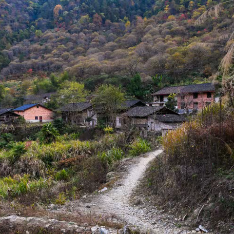 终身愿做山村人（随笔）