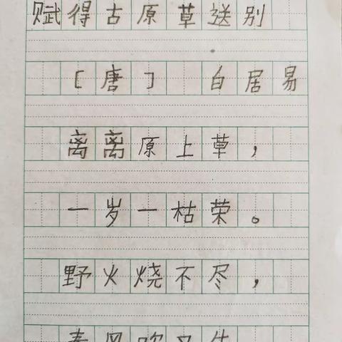 【关爱学生 幸福成长】曲周县河南疃镇河南疃小学——让练字成为一种习惯