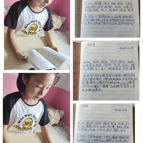 畅游书海 书香一夏——锡林浩特市第十二小学四年级暑假阅读纪实