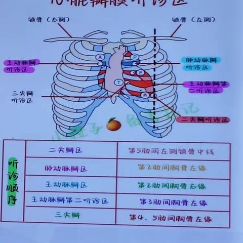 【教学管理】师生共进  教学相长——护理部探索教学查房模式