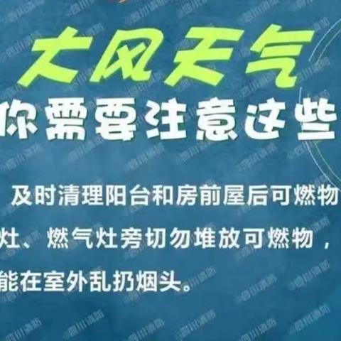 大风天气安全指南