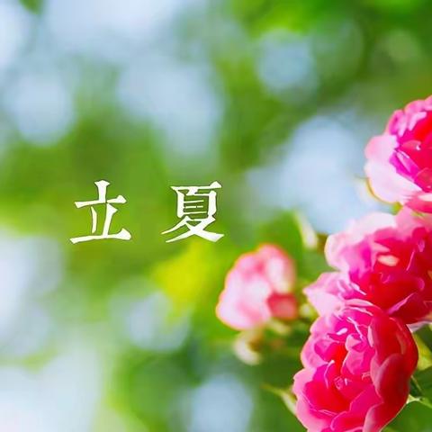 【三抓三促进行时】二十四节气之立夏🍉