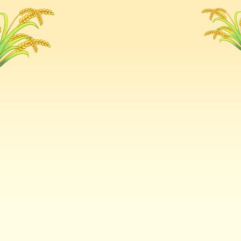 【乐橙教育】25年春季第九期优秀作品集