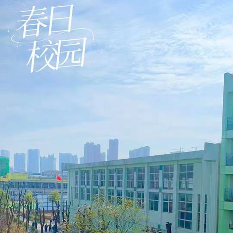 天渐暖，日初长，不负好春光。——折桂808班新的开始，新的征程。