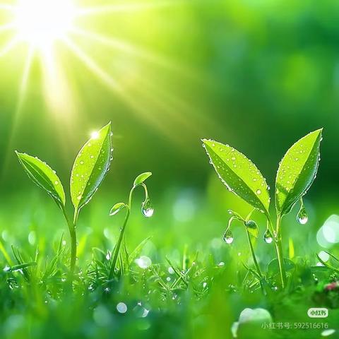 春风唤新绿 邻里共耕春 雅南物业植树节活动