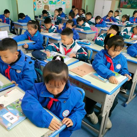 【教育教学故事】当数学遇见温暖，我们共同成长