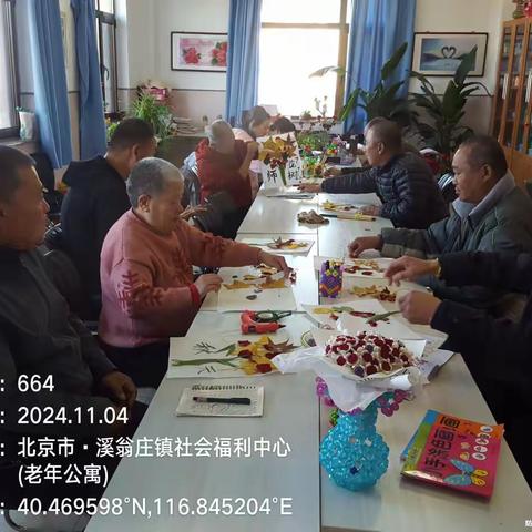 探索自然之美，激发无限创意