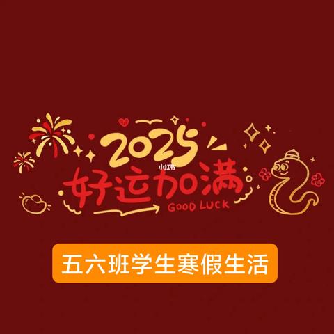 西平五中五六班学生的寒假生活