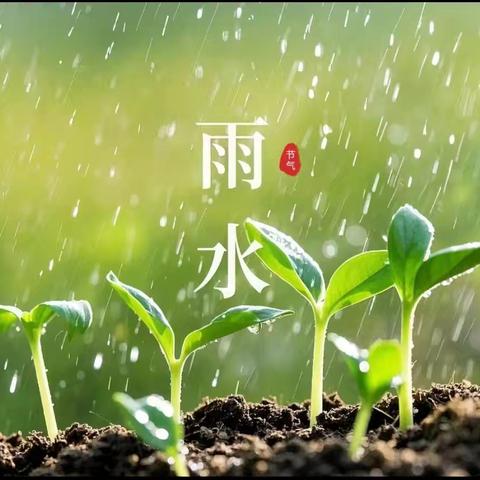 雨水落 万物生——经开区河会小学附属幼儿园雨水节气活动