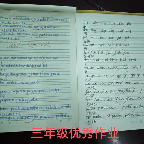 安上集小学英语作业检查与展示