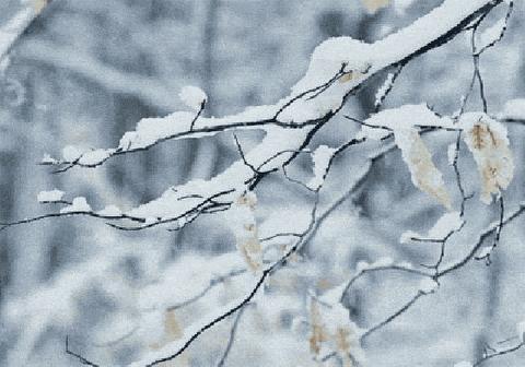 【温馨提示】育新幼儿园雨雪降温天气温馨提示