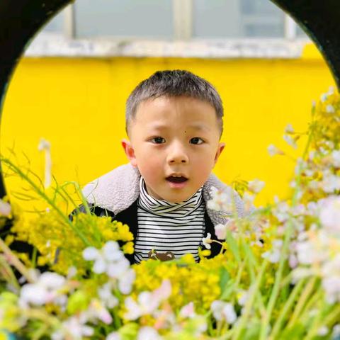 叮咚🎉🎉请查收点点班佐佐小朋友的成长记录