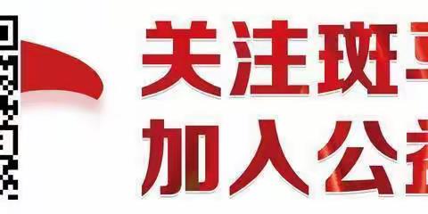 巨野县斑马应急救援队救援纪实(30件)2024年2月25日