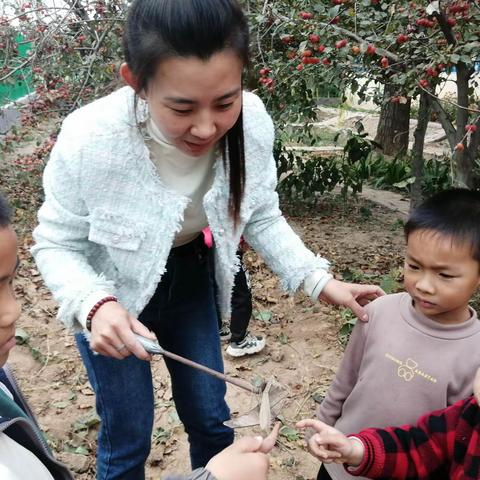 秋天的虫 | 偶遇.螳螂——王打镇中心幼儿园中一班班本课程