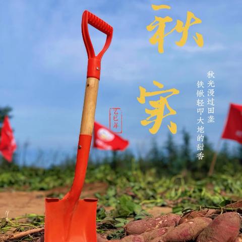 达克班主题课程“薯”于你的秋天