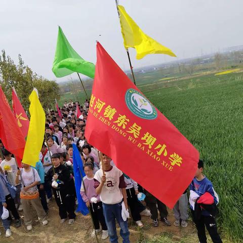 清明时节话清明                       ----东吴坝小学清明节之美篇