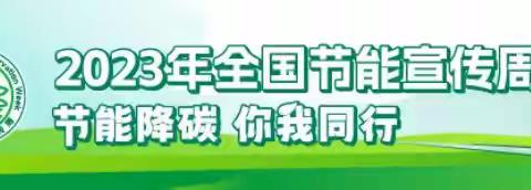 全国生态日——争当绿色环保小“银莺”