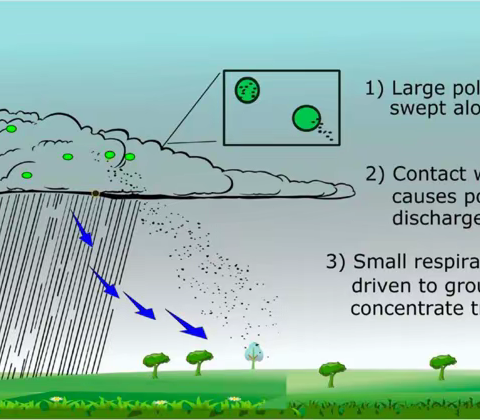 石嘴山市第一人民医院呼吸与危重症医学科知识讲堂—— 认识并预防“雷暴哮喘”
