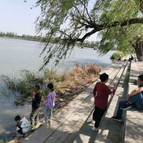 这个五一，白云湖国家湿地公园蛮火的~