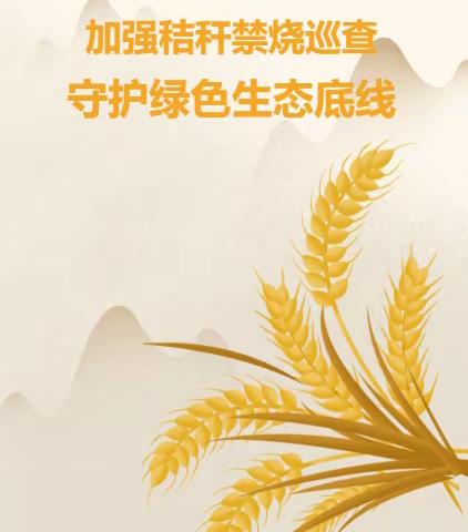 【空港新村新时代文明实践】加强秸秆禁烧巡查 守护绿色生态底线，持续做好夏季秸秆禁烧工作