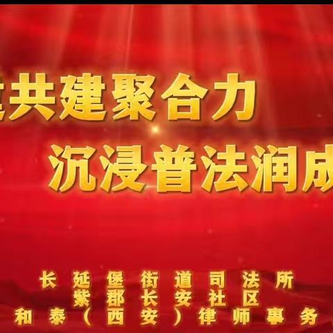 【长延发布】党建共建聚合力 沉浸普法润成长——紫郡长安社区特色主题党日活动纪实