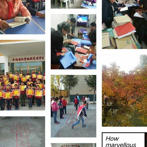 落实“双减”有成效 多彩                             活动促成长