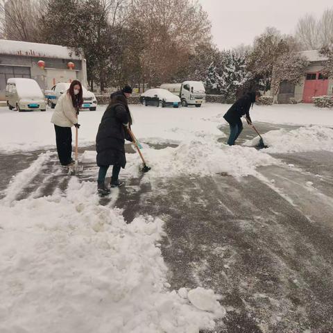 服务处 组织职工清扫庭院积雪