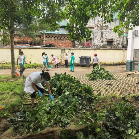 台风过后防疫情——三门坡镇卫生院开展爱国卫生运动