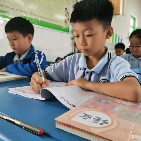 五年级语文书法比赛