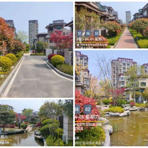 河南兰庭物业4月份工作简报