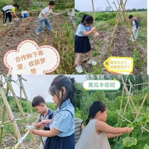劳动真快乐，成长乐悠悠—横街学校暑期争做五好少年系列活动