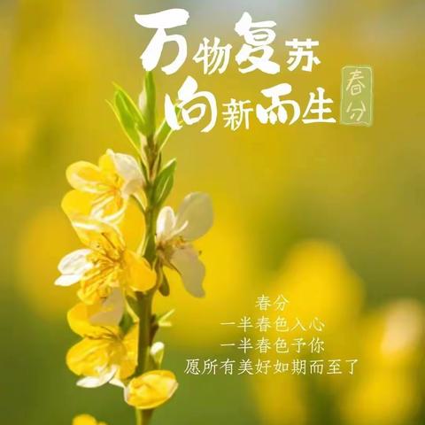 中铁·御花府三月服务报告